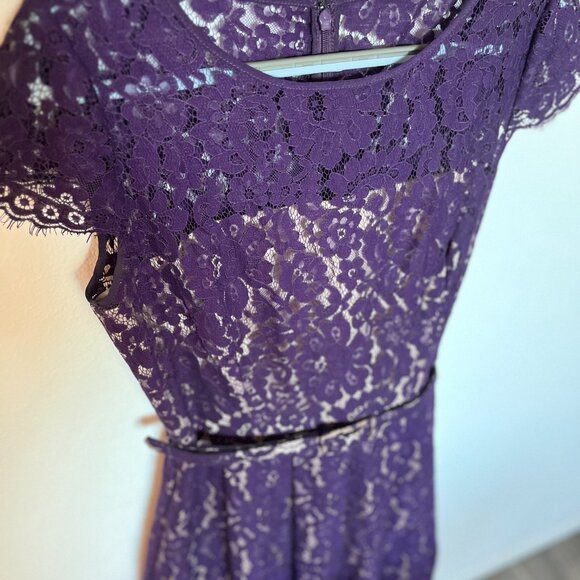 Lace Fit & Flare Dress - Plum - Excellent Condition - Size 6P (with pockets!) - Picture 5 of 6